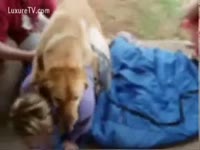 [ Beast Porn ] Picnic time for fucking